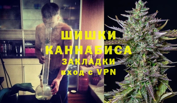 дмт Кодинск