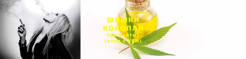 дмт Кодинск