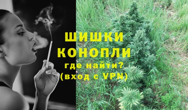 дмт Кодинск